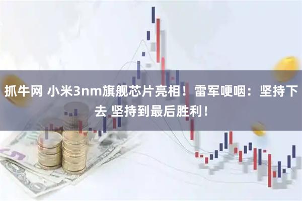 抓牛网 小米3nm旗舰芯片亮相！雷军哽咽：坚持下去 坚持到最后胜利！