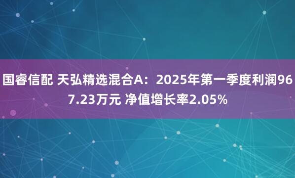 国睿信配 天弘精选混合A：2025年第一季度利润967.23万元 净值增长率2.05%