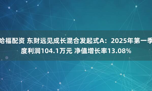 哈福配资 东财远见成长混合发起式A：2025年第一季度利润104.1万元 净值增长率13.08%