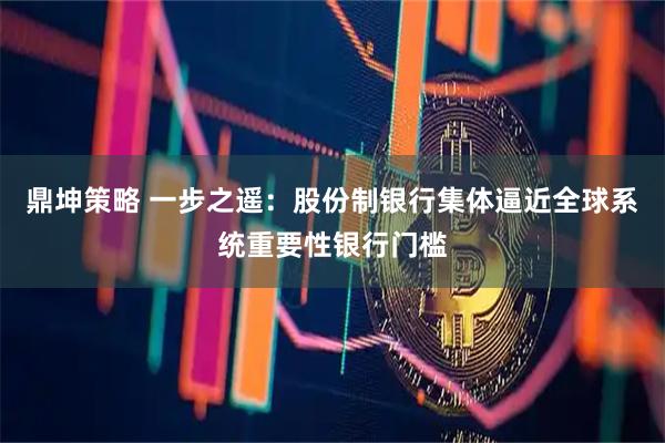 鼎坤策略 一步之遥：股份制银行集体逼近全球系统重要性银行门槛